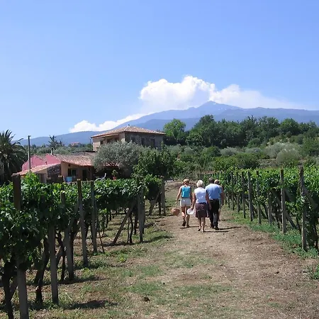 Tenuta Madonnina
