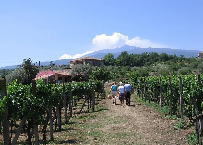 Tenuta Madonnina